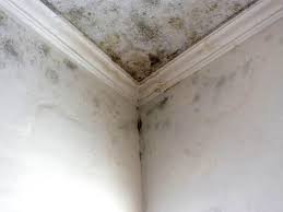 Best Commercial Mold Inspection  in Mechanicville, NY