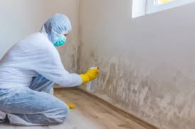 Best Water Damage & Mold Remediation  in Mechanicville, NY